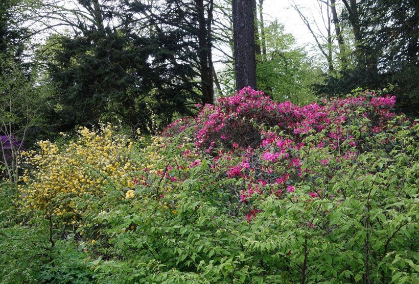Forstbotanisk Have, Denmark